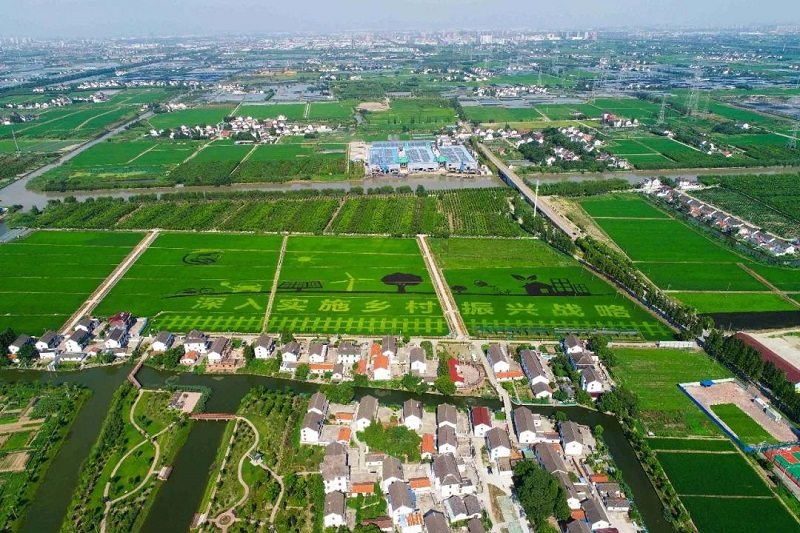 農村人居環境整治提升5年行動將啟！2021中央一號文件正式發布