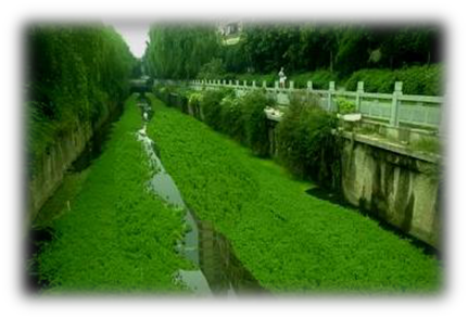 我國水生態環境修復現狀分析解讀（下）-