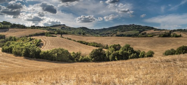 中央環(huán)保督察通報(bào)典型案例，污泥處置問(wèn)題再上榜