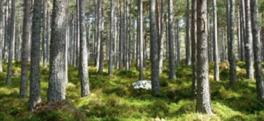 2022年環(huán)境專項(xiàng)執(zhí)法已經(jīng)開(kāi)始！這些企業(yè)是檢查重點(diǎn)！